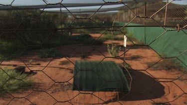 Animal enclosure seen through a fence