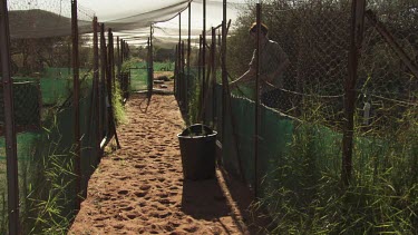 Worker carrying a bucket down a path between animal enclosures