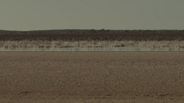 Vast, sandy desert and a flat horizon