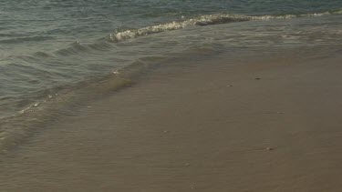 Gentle waves lapping on a sandy beach