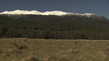Dry field overlooked by snow-capped mountains