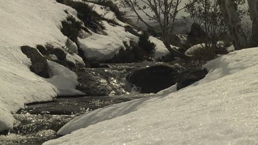 Snow banking a flowing mountain stream