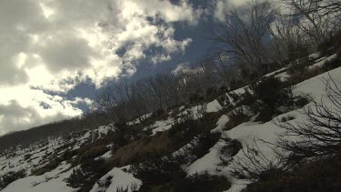 Snow banking a flowing mountain stream