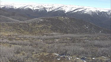 Wilderness of a mountainside