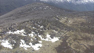 Wilderness of a mountainside