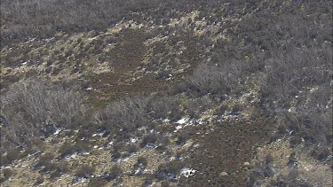Wilderness of a mountainside