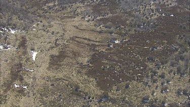 Wilderness of a mountainside