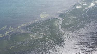 Mangroves along the coast of a river inlet