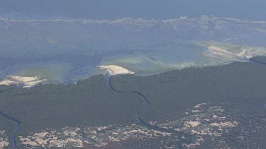 Mangroves along the coast of a river inlet