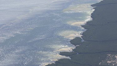 Mangroves along the coast of a river inlet