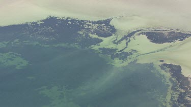 Vegetation along the coast of Gulf St Vincent