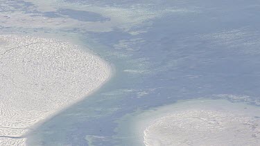 Sunlit sand bar in Spencer Gulf