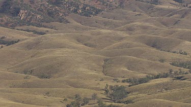 Low rocky hills in the Flinder Ranges