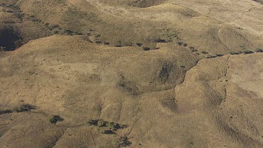 Low rocky hills in the Flinder Ranges