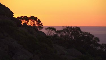 Silhouetted mountain peaks in the Flinder Ranges at sunset