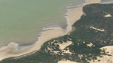 Sunlit, sandy coast in Coorong National Park