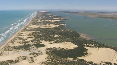 Flock of Pelicans in sunlit water off the coast of Coorong National Park