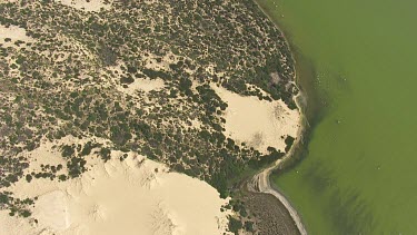 Green water and the sandy coastline in Coorong National Park