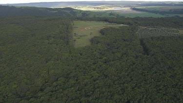 Green clearing surrounded by vast forest and the coast in Great Otway National Park