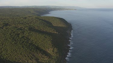 Forested green hills along the coast in Great Otway National Park