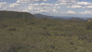 Dense forest covering Blue Mountains