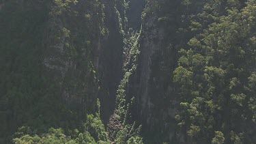 Steep, tree-covered valley in Blue Mountains