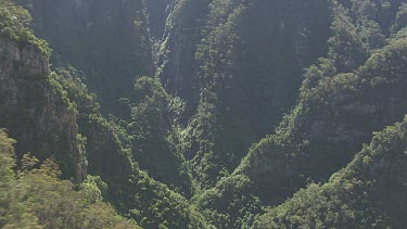 Steep, tree-covered valley in Blue Mountains
