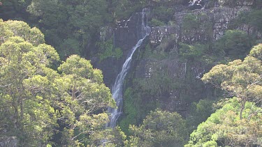 Three Sisters waterfall and a steep, tree-covered valley in Blue Mountains
