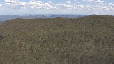 Dense forest covering Blue Mountains