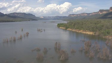 Pair of white pelicans (seabirds) taking off from a tranquil river in Blue Mountains