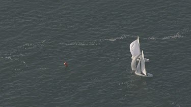Pair of white sailboats in the Sydney harbour