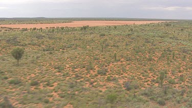 Large sandbar surrounded by forest in the outback