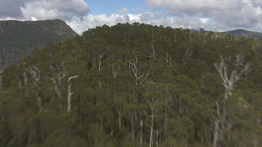 Aerial of Tasmania National Park