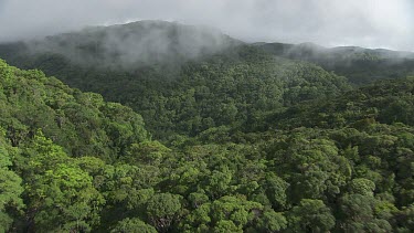 Clouds over a creek through the forest in Daintree National Park