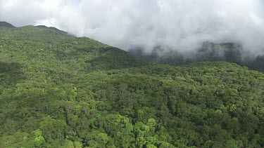 Clouds over the dense forest in Daintree National Park