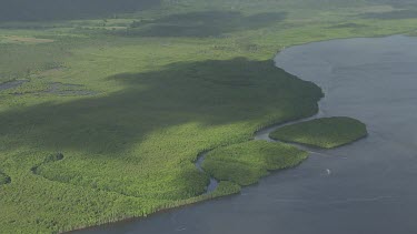 Aerial view of a sunlit, winding river through a forested landscape