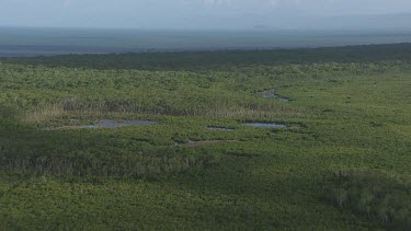 Aerial view of a sunlit, winding river through a forested landscape