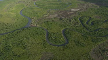 Aerial view of a winding river through a forested landscape