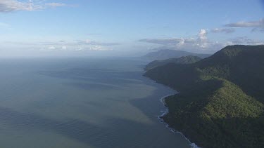 Forested coast in Daintree National Park