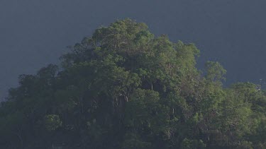 Forested mountain peaks in Daintree National Park