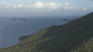 Forested coast in Daintree National Park