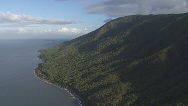 Forested coast in Daintree National Park