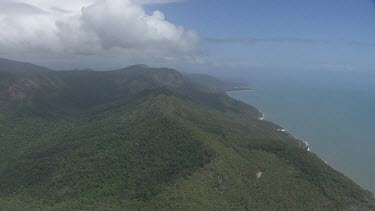 Forested coast in Daintree National Park