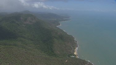 Forested coast in Daintree National Park