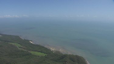 Forested coast in Daintree National Park