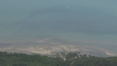 Forested coast in Daintree National Park