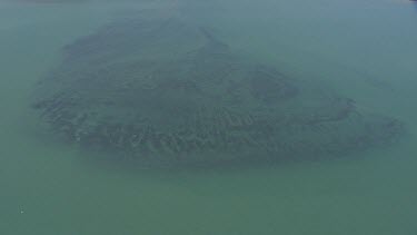 Aerial view of vegetation in the deep, cloudy ocean in Daintree National Park