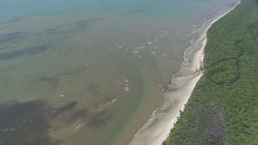 Aerial view of forested coast in Daintree National Park