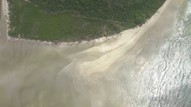 Aerial view of forested coast in Daintree National Park