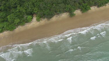 Aerial view of the ocean and a forested coast in Daintree National Park